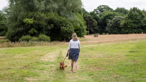 Woman walking a dog in an open field at Killerton